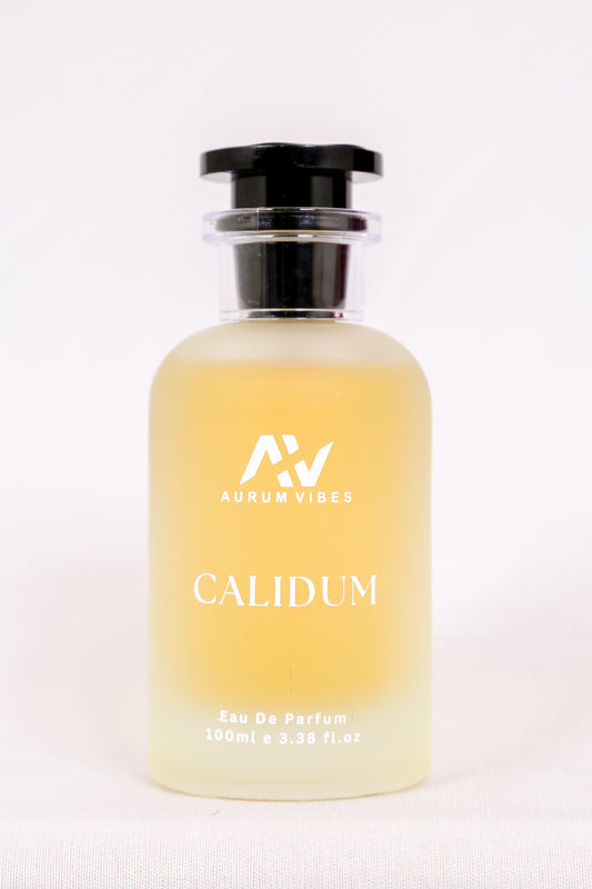 Calidum Male Perfume 100 ML